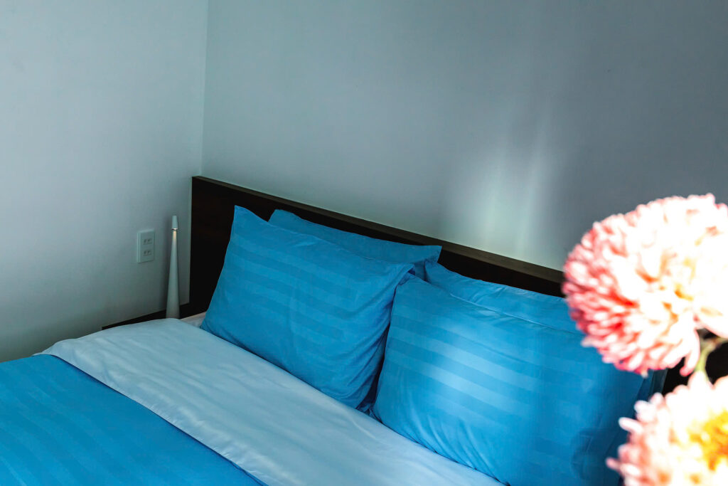 Deluxe Queen Studio, Window with City or Quiet Street View