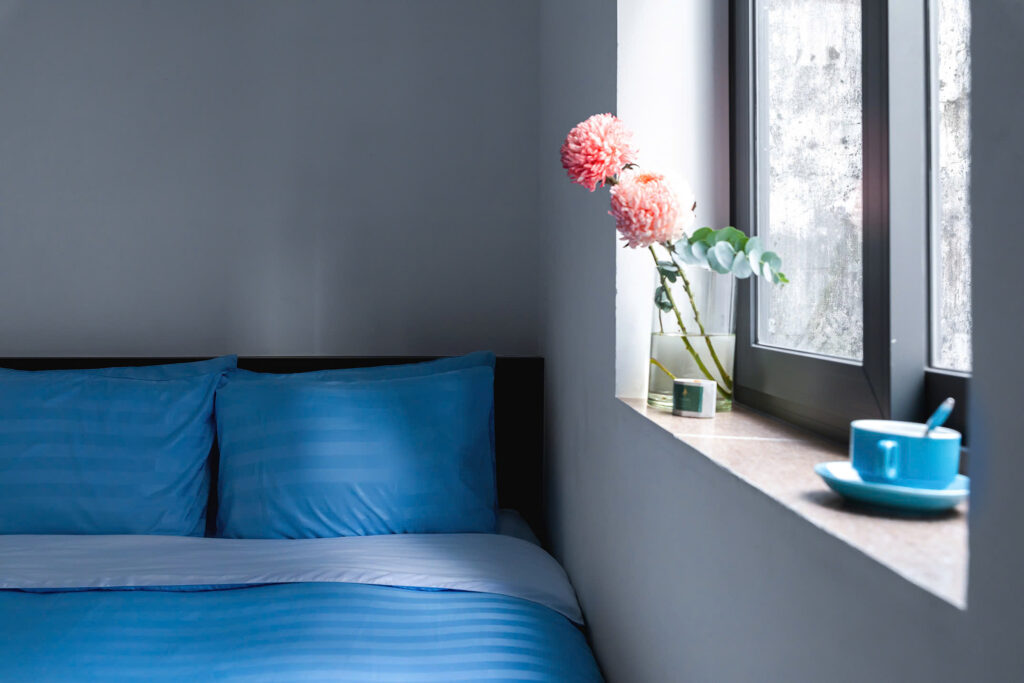 Deluxe Queen Studio, Window with City or Quiet Street View